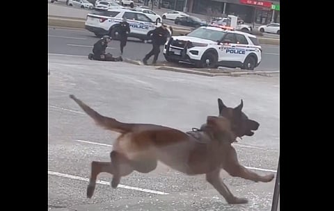 BAD BOYS, BAD BOYS: Watch videos of Oshawa police making quick work of jewelry store robbers