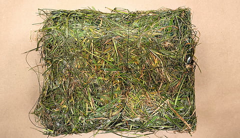 Camouflaged contraband seized at Mission jail after suspected drone drop