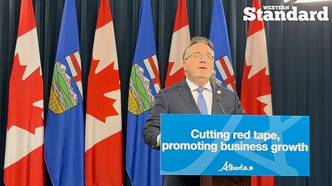 Minister Dale Nally speaking to reporters. 