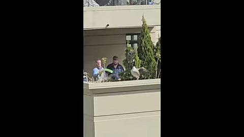 Kelowna man shown pushing baby geese off balcony with pool noodle