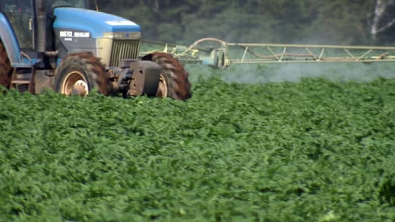China tariffs Canadian canola: Here's what you need to know