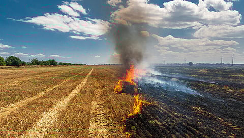 Man charged in Alberta with intentionally causing damage by fire
