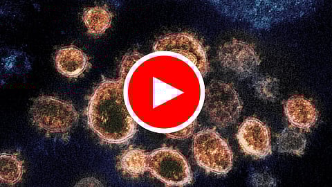 WATCH: Don’t worry Greta, the Coronavirus Pandemic will get us first.