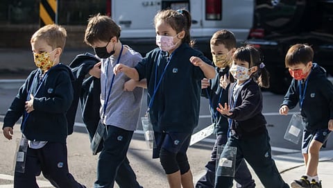 In the face of new information revealing that German officials knew masks and lockdowns did more harm than good, there are now calls for a full enquiry