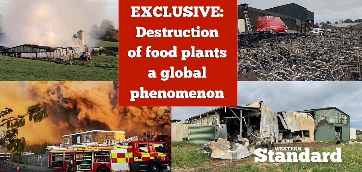 EXCLUSIVE: Destruction of food plants a global phenomenon