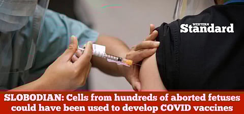SLOBODIAN: Cells from hundreds of aborted fetuses could have been used to develop COVID vaccines