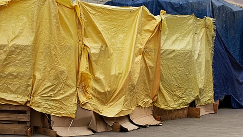 BC govt slams Prince George for 'decampment' of people in local park