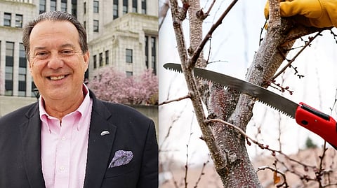 Vancouver mayoral candidate slammed for confusing garden tools for machetes