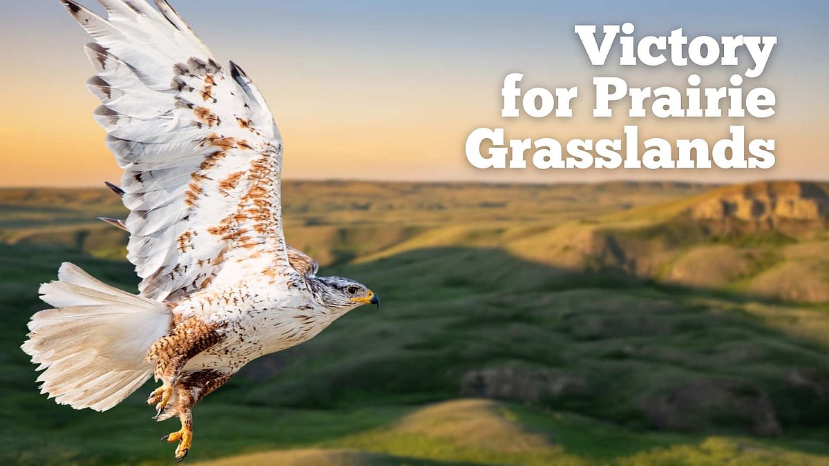 WATCH: McIntyre Ranch Saved: Community collaboration secures future of ...