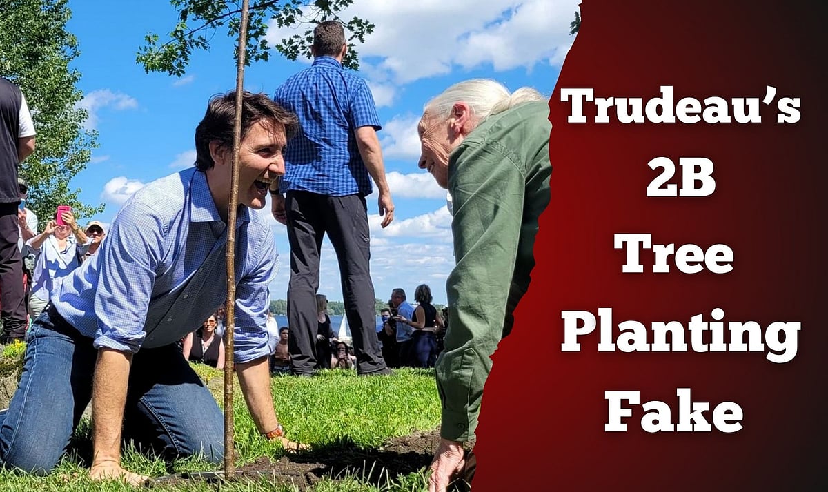 Trudeau’s $2B tree planting plan was fake