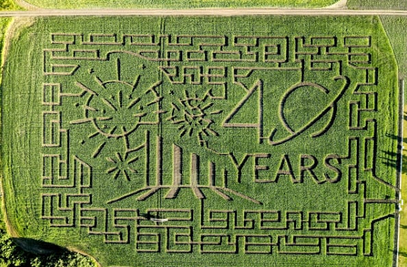 MURDER AT THE MAZE: Man slain at Edmonton Corn Maze