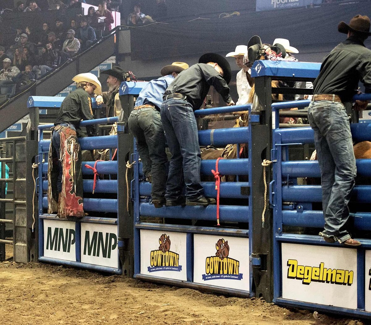 Canadian Western Agribition starts Monday, agricultural and rodeo show ...