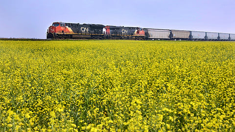 Rail cars carry commodities through Saskatchewan. 