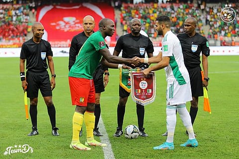 مباراة الكاميرون والجزائر